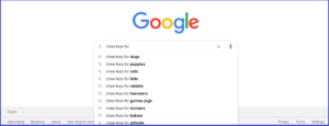How-To-Choose-a-Niche-for-a-Blog-google-screenshot